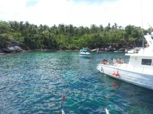 image-9ece2172c87928bb70060accd826ce87fdddbff93939233b993ad858a9f8fc44-V[1]