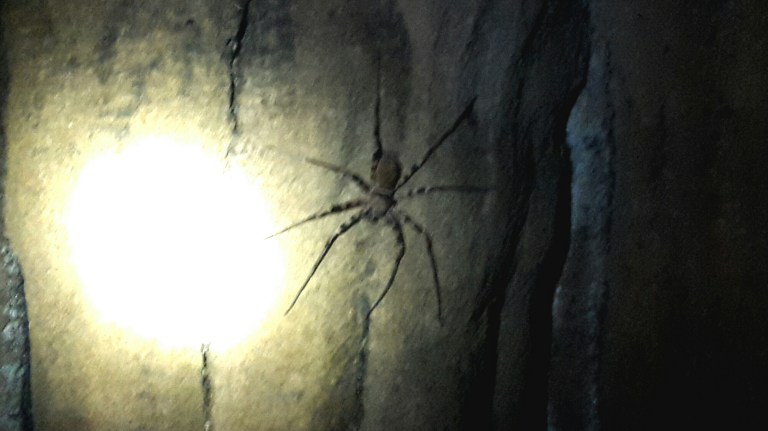 2014-11-20 11.28.25.jpg image