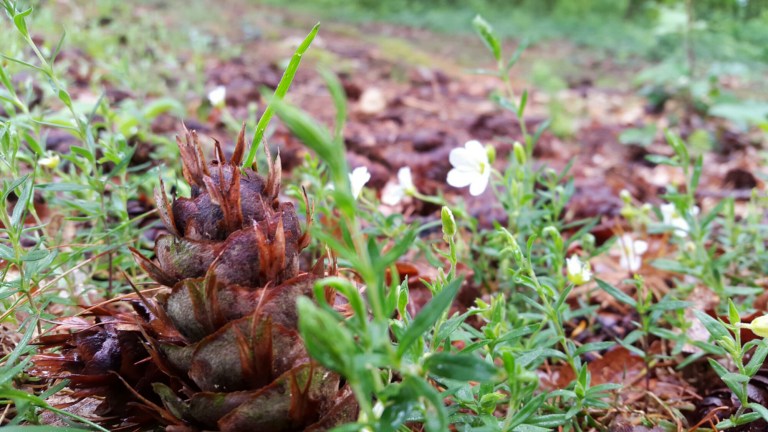 1431607295148.jpg image