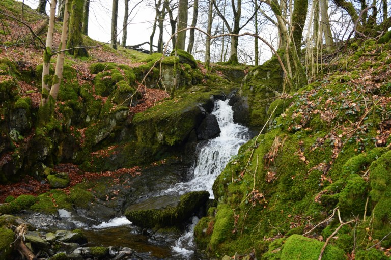 1461930460433.jpg image