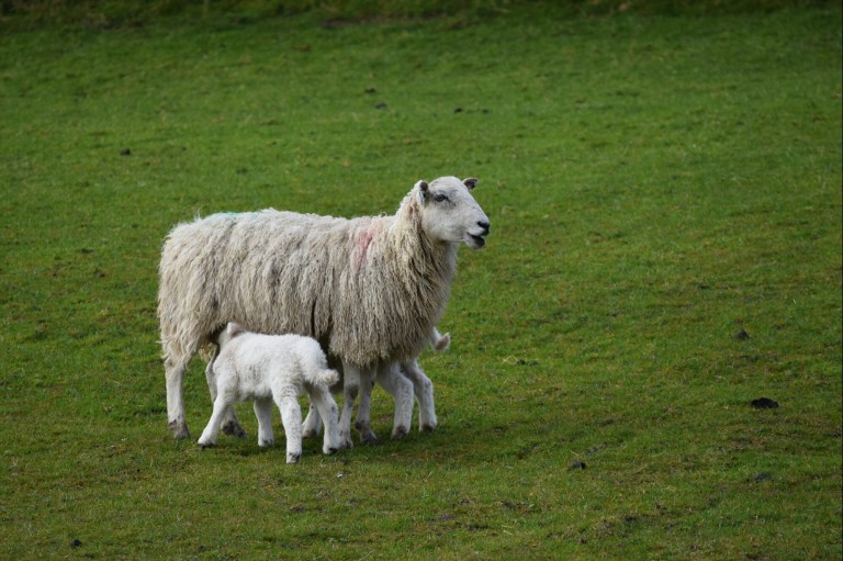 1461930528940.jpg image