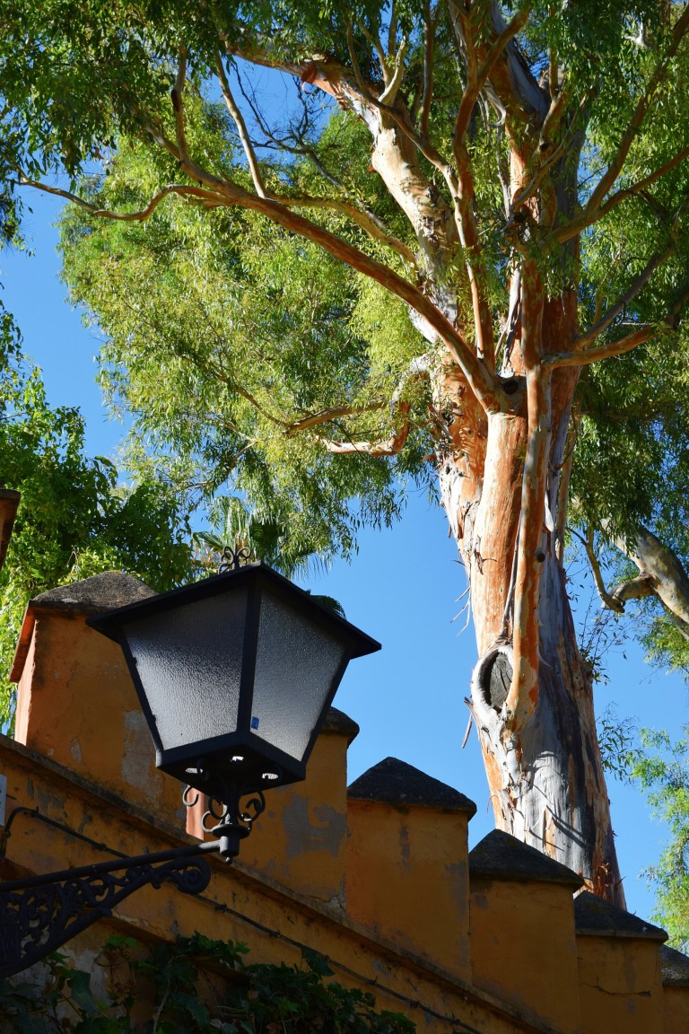 1472293404077.jpg image