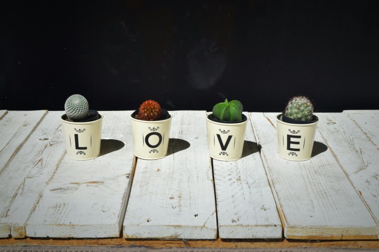 1472488437538.jpg image